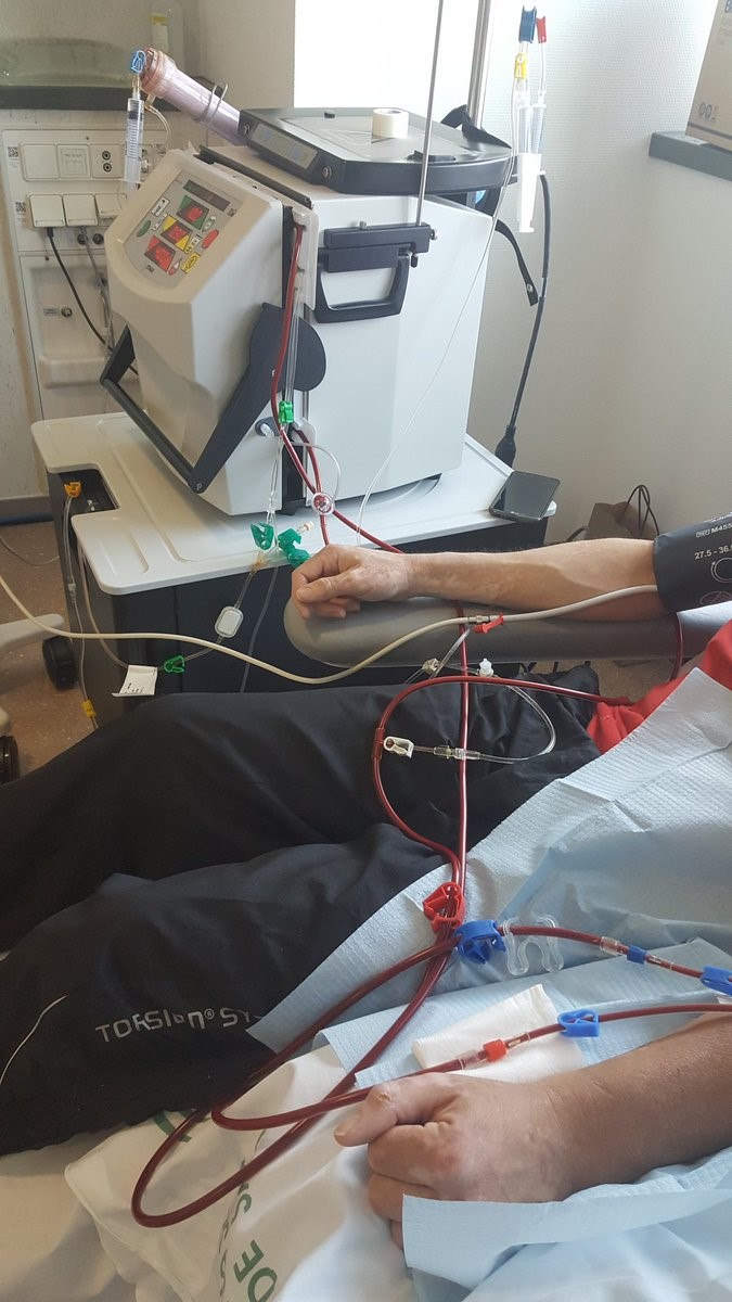 REVISION BIBLIOGRAFICA SOBRE LA DIETA EN