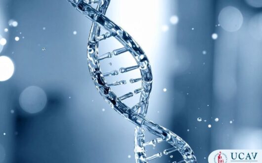 Curso Universitario en Bases de la Biología Molecular y su uso en la práctica clínica
