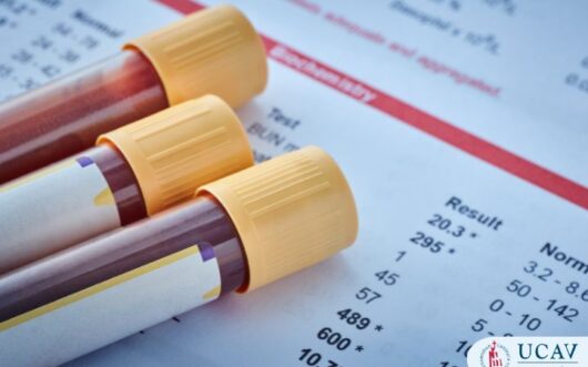 Curso Universitario en Actuación del Técnico de Laboratorio en los servicios de transfusión y banco de sangre