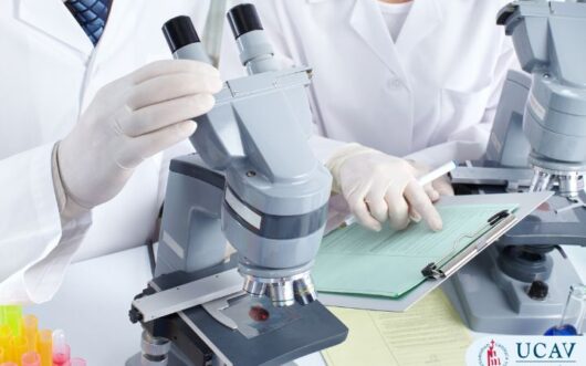 Curso Universitario en Gestión de la calidad, seguridad y trazabilidad en el laboratorio clínico y de anatomía patológica