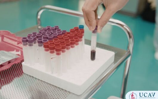 Curso Universitario en Etapa preanalítica del laboratorio clínico: recogida, conservación y manejo de muestras