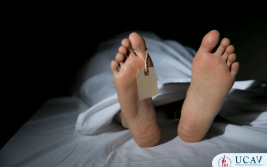 Curso Universitario en Necropsia clínica: procedimientos, bioseguridad y práctica profesional