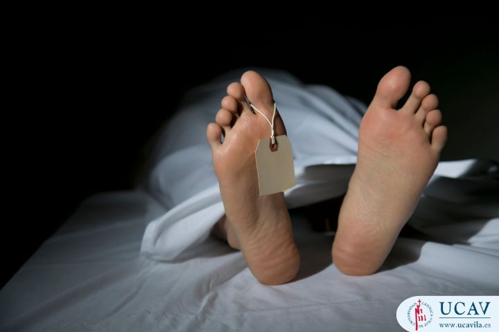 Curso Universitario en Necropsia clínica: procedimientos, bioseguridad y práctica profesional