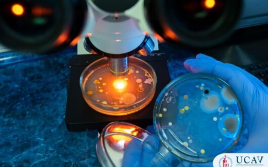 Curso Universitario en Principios esenciales de Microbiología Clínica aplicados al laboratorio