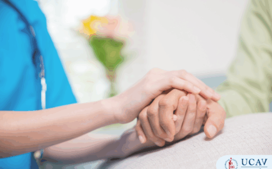 Curso Universitario Superior en Atención al Paciente en Cuidados Paliativos