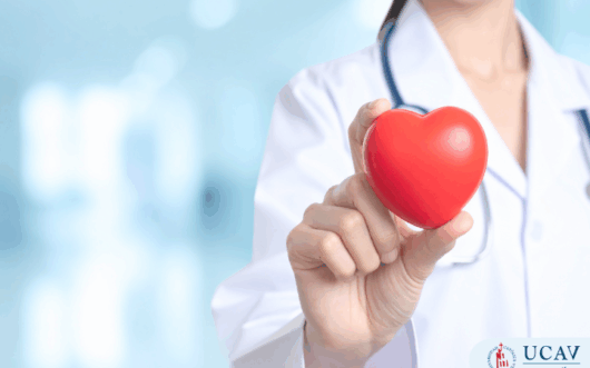 Curso Universitario Superior en Fundamentos de bioética