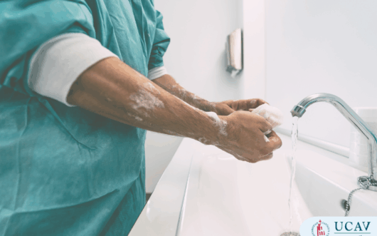 Curso Universitario Técnico en Introducción a la higiene de centros sanitarios para celadores