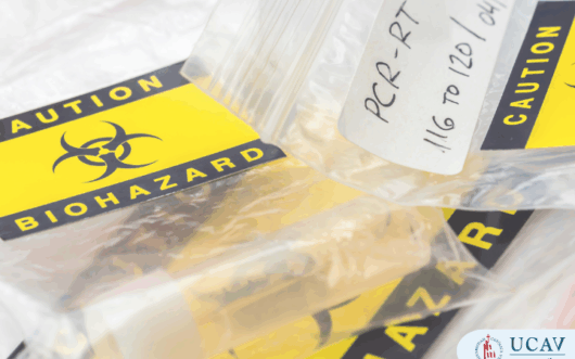 Curso Universitario Técnico en Manejo de riesgos biológicos en el entorno hospitalario