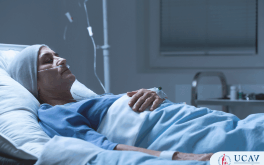 Curso Universitario Superior en Atención al Paciente en Cuidados Paliativos