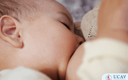 Curso Universitario Técnico en Lactancia Materna