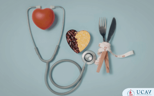 Curso Universitario Superior en Nutrición y Dietética