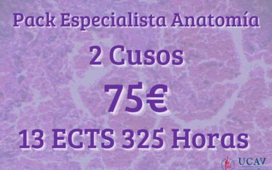 Pack Especialista Anatomía