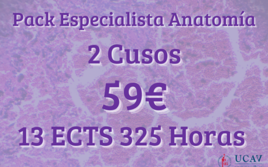 Pack Especialista Anatomía