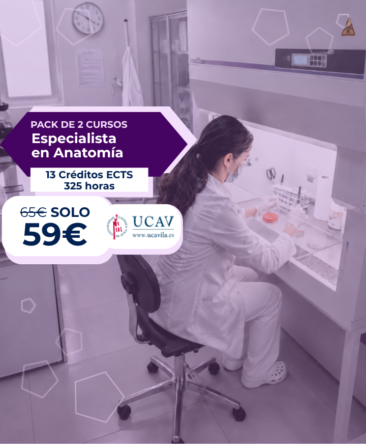 Pack Especialista en Anatomía